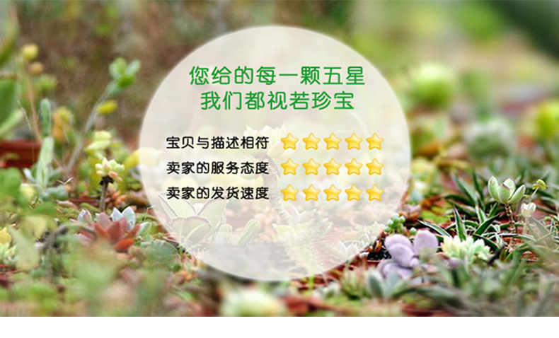 详情_09