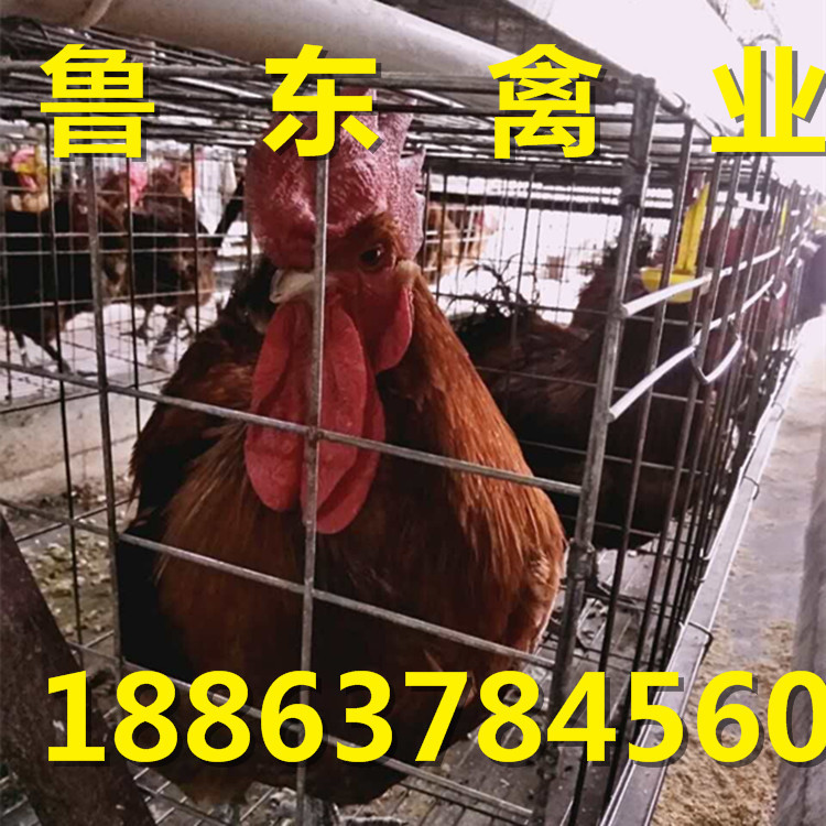 QQ图片20160929083434_副本