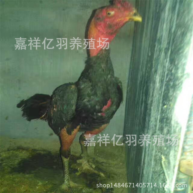 图片_20170605214025