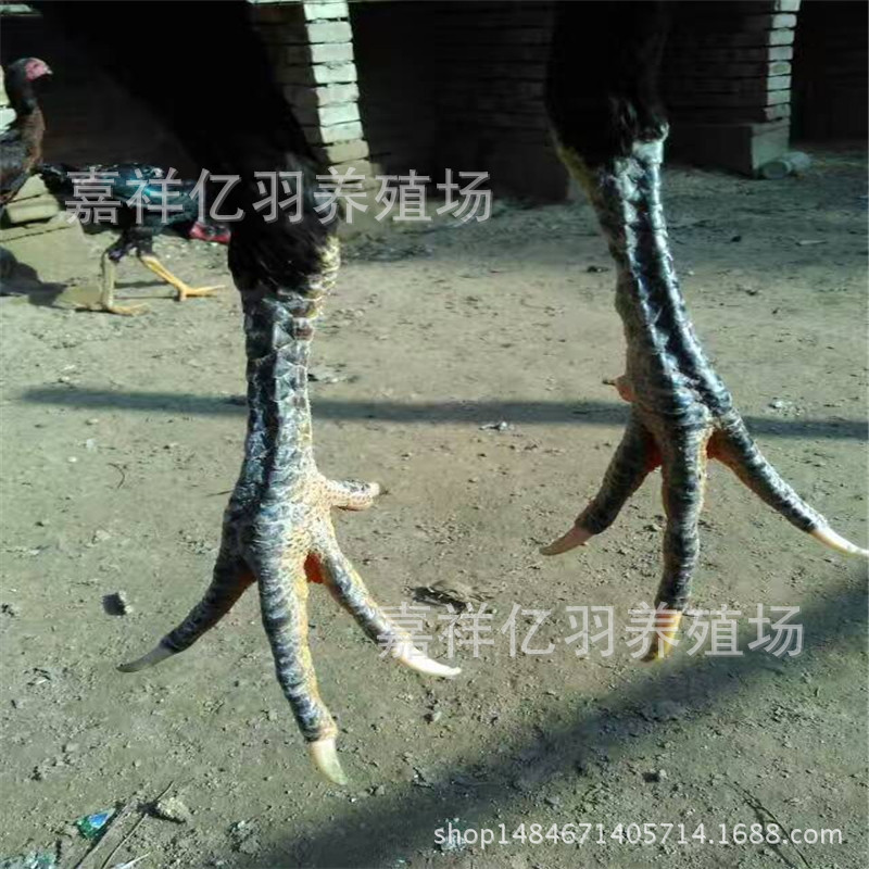 图片_20170605214142
