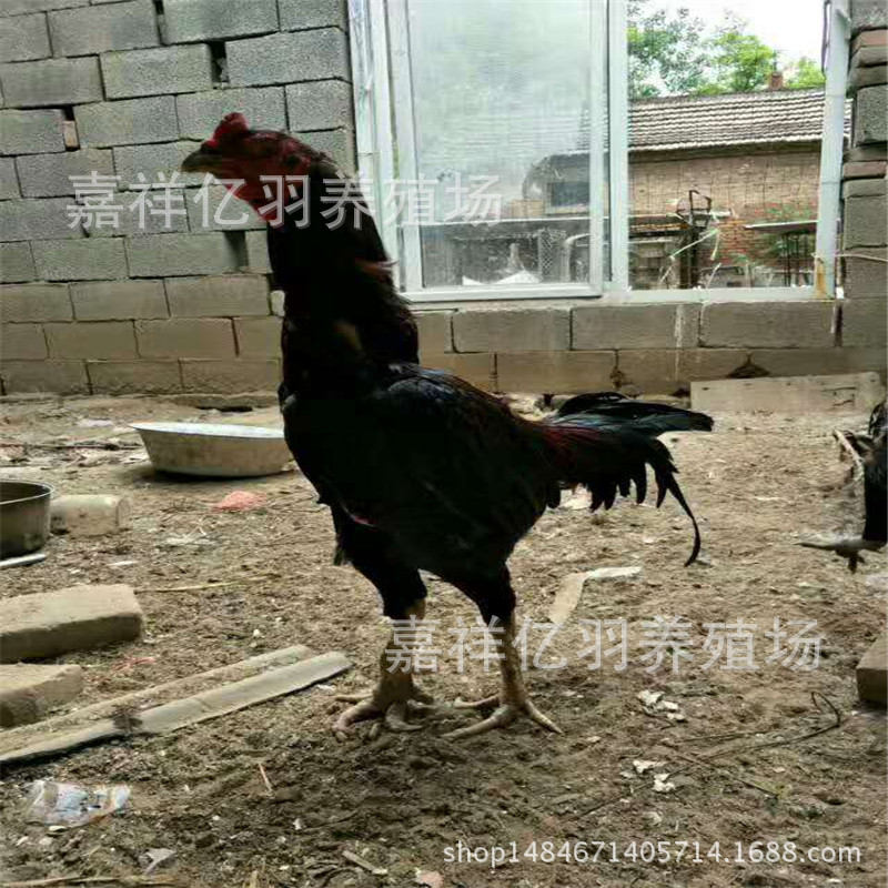 图片_20170605214019