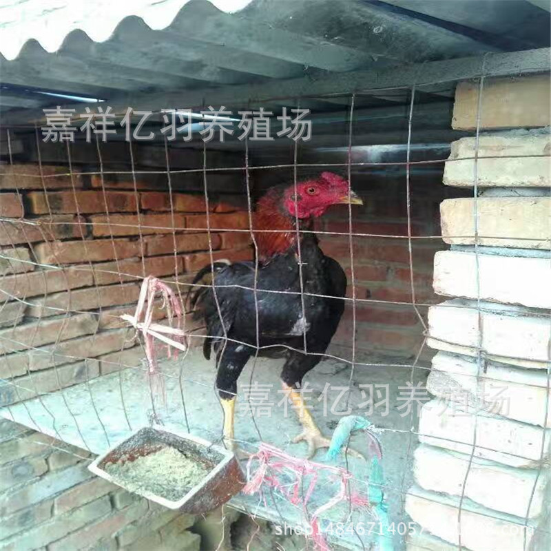 图片_20170605214130