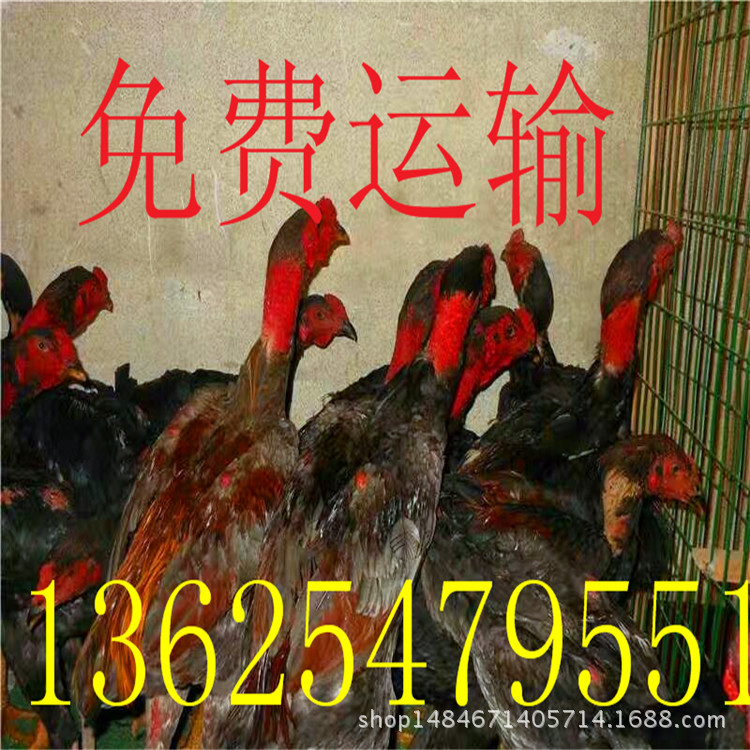 11041537563883798