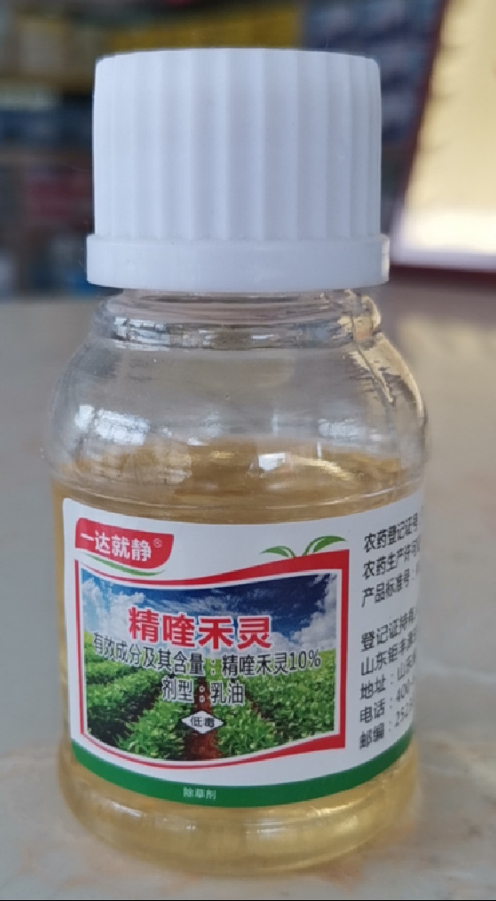 图片5