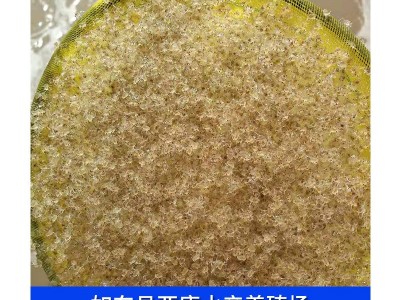 供应出口大闸蟹苗 螃蟹苗量多优惠 厂家供应 大眼幼体图5