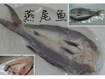 刘兴水产拉菲腌制开片发财鱼批发 酒店燕尾鱼供应 质优价廉图4