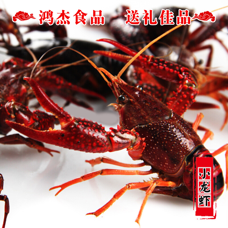 53aa959dN4381debf.jpg