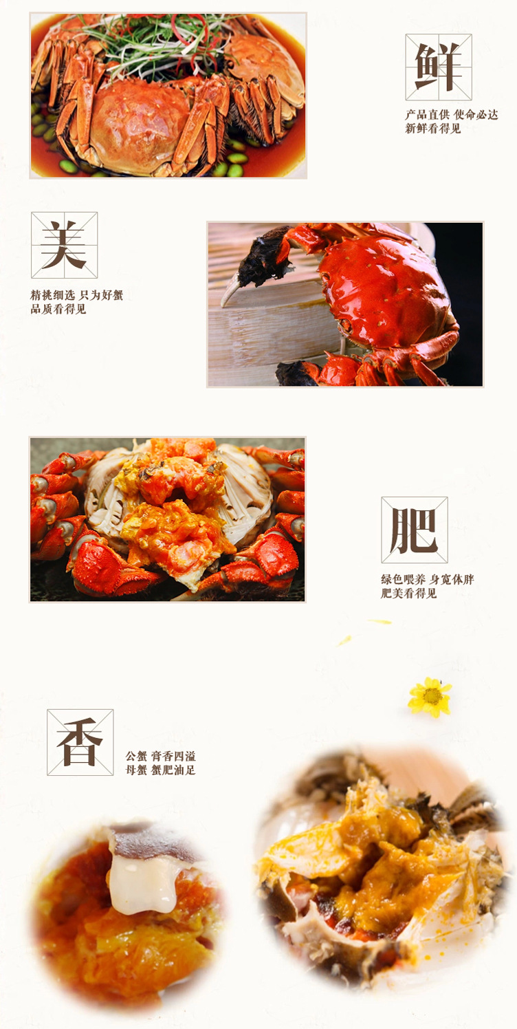 细节.jpg