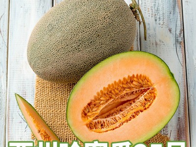 西州蜜25号哈密瓜5/9斤产地一件代发新鲜水果非新疆哈密瓜图5