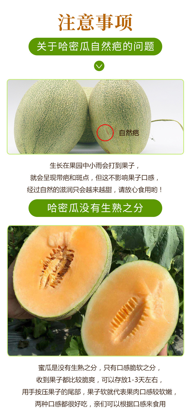 西州哈密瓜25号详情页_06.jpg
