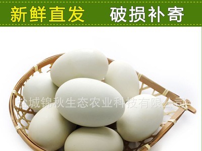 厂家销售 新鲜鸭蛋 散养 无添加剂 树林鸭蛋图3