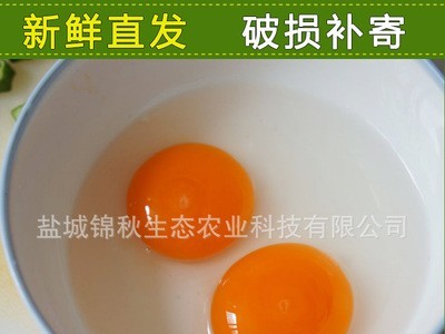 厂家销售 新鲜鸭蛋 散养 无添加剂 树林鸭蛋图4