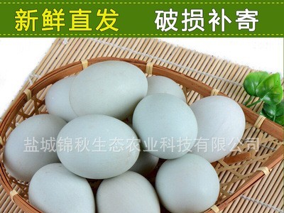 厂家销售 新鲜鸭蛋 散养 无添加剂 树林鸭蛋图2