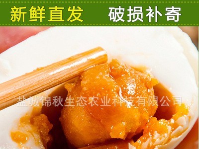 精制 散养鸭蛋 咸鸭蛋 厂家直销 鲜香美味咸鸭蛋图2