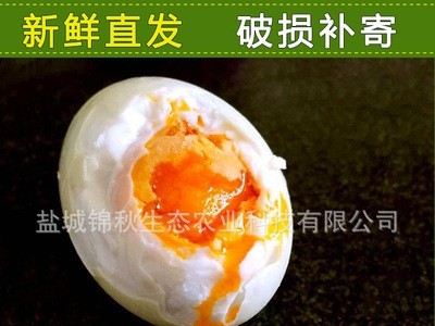 精制 散养鸭蛋 咸鸭蛋 厂家直销 鲜香美味咸鸭蛋图3