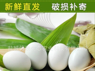 精制 散养鸭蛋 咸鸭蛋 厂家直销 鲜香美味咸鸭蛋图4