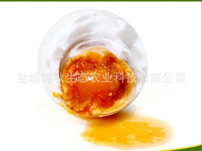 精制 散养鸭蛋 咸鸭蛋 厂家直销 鲜香美味咸鸭蛋图5