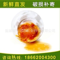 精制 散养鸭蛋 咸鸭蛋 厂家直销 鲜香美味咸鸭蛋