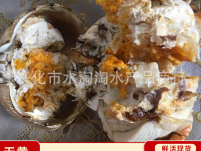 兴化大闸蟹螃蟹 现货红膏全母蟹直供鲜活批发水产大闸蟹图3