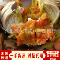 现货兴化大闸蟹螃蟹礼盒装大闸蟹现货直供鲜活水产批发