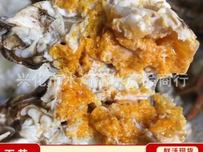 供应螃蟹蟹苗 长江系河蟹苗 豆蟹苗 二龄蟹苗 大眼幼体 梭子蟹苗图3