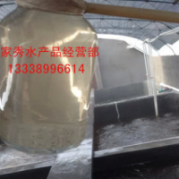 淡水一代二代南美白对虾苗 二次淡化斑节虾苗批发