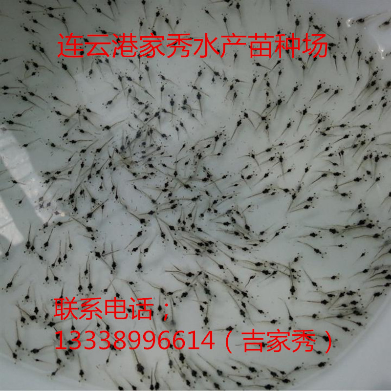 1-1149866-3485097