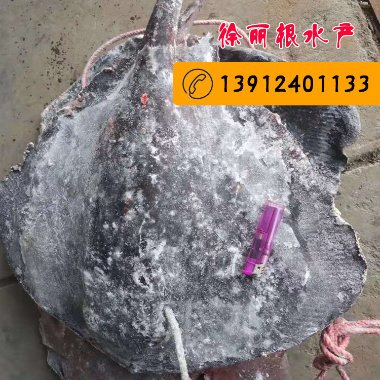 微信图片_20191206185026