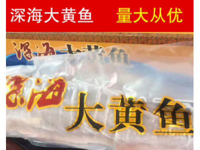 【供应】深海大黄鱼_生鲜水产海鲜图2