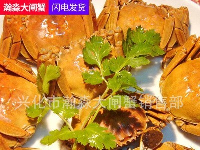 兴化大闸蟹 现捕螃蟹 3.5-4.5两公母河蟹多规格礼盒装鲜活大闸蟹图3