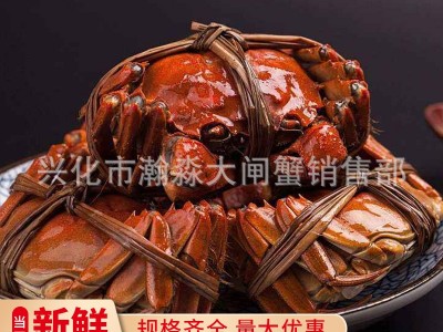 兴化大闸蟹 现捕螃蟹 3.5-4.5两公母河蟹多规格礼盒装鲜活大闸蟹图5
