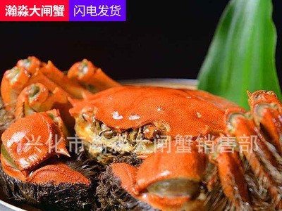 兴化大闸蟹 现捕螃蟹 3.5-4.5两公母河蟹多规格礼盒装鲜活大闸蟹图4