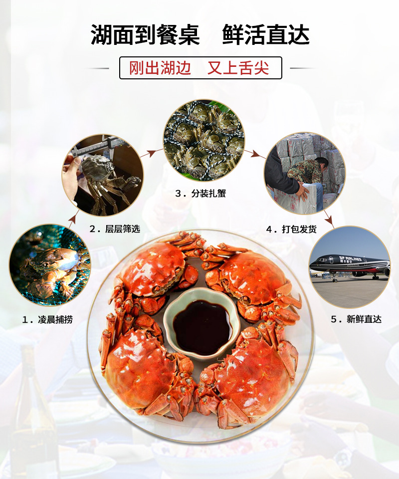详情页_06.jpg