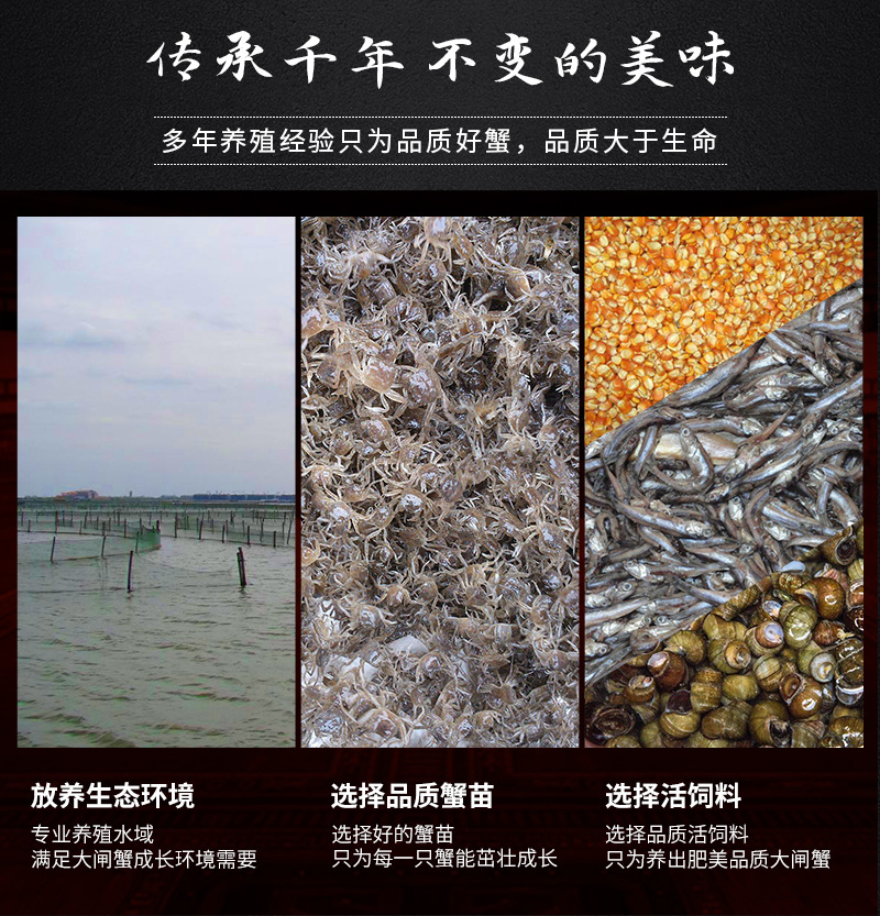 详情页_03.jpg