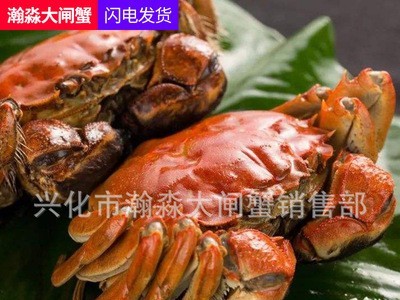 鲜活兴化大闸蟹鲜活兴化大闸蟹鲜活清水螃蟹六月黄河蟹多规格礼盒装大闸蟹礼券活清水螃蟹六月黄河蟹多规格礼盒装大闸蟹礼券图4