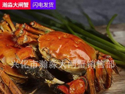 鲜活兴化大闸蟹鲜活兴化大闸蟹鲜活清水螃蟹六月黄河蟹多规格礼盒装大闸蟹礼券活清水螃蟹六月黄河蟹多规格礼盒装大闸蟹礼券图3