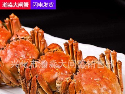 鲜活兴化大闸蟹鲜活兴化大闸蟹鲜活清水螃蟹六月黄河蟹多规格礼盒装大闸蟹礼券活清水螃蟹六月黄河蟹多规格礼盒装大闸蟹礼券图2