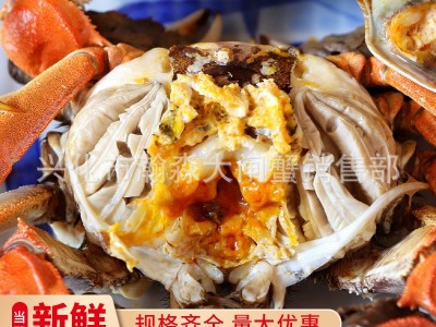 鲜活兴化大闸蟹鲜活兴化大闸蟹鲜活清水螃蟹六月黄河蟹多规格礼盒装大闸蟹礼券活清水螃蟹六月黄河蟹多规格礼盒装大闸蟹礼券图5