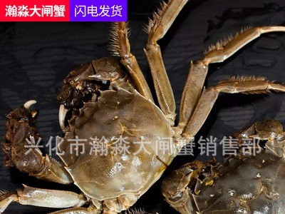 兴化大闸蟹鲜活螃蟹河蟹提货券礼卡礼券装批发大闸蟹礼盒图3