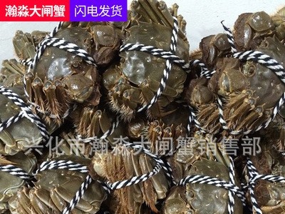 兴化大闸蟹鲜活螃蟹河蟹提货券礼卡礼券装批发大闸蟹礼盒图2