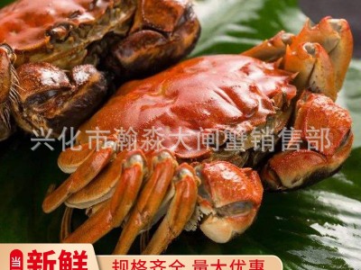 兴化大闸蟹鲜活螃蟹河蟹提货券礼卡礼券装批发大闸蟹礼盒图4