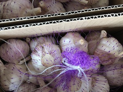 供应2021年出口大蒜 5-6.0cm发货 8元/kg 起订2kg，发货后不退图4