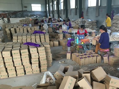 供应2021年出口大蒜 5-6.0cm发货 8元/kg 起订2kg，发货后不退图2