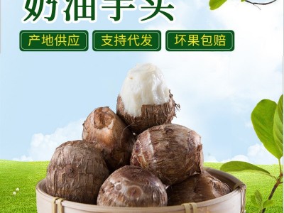 【顺丰】山东奶油芋 新鲜蔬菜当季现挖现发毛芋头 牛奶小芋头批发图5