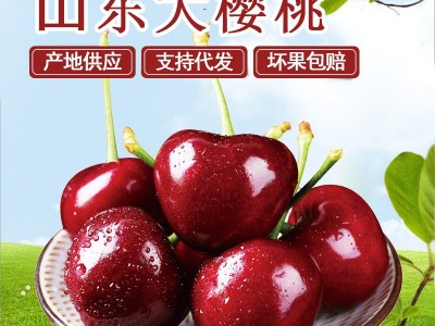【顺丰】山东大樱桃应季新鲜孕妇水果现摘现发批发3斤/5斤车厘子图5