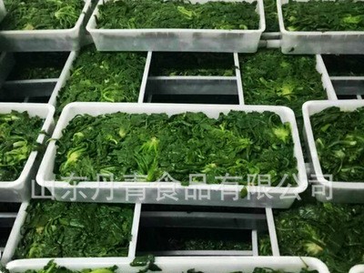 速冻荠菜碎 农产品冷冻荠菜块 可做包子馅图2