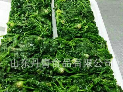 速冻荠菜碎 农产品冷冻荠菜块 可做包子馅图3