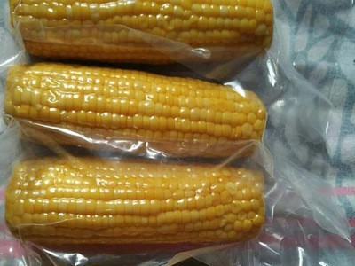 冷冻黄玉米棒 山东玉米 香甜玉米棒批发图2