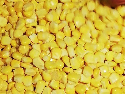 丹青食品速冻甜玉米粒 水果玉米粒 玉米粒价格图3