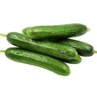 水果小黄瓜新鲜5斤3斤当季小青瓜生吃农家蔬菜荷兰瓜黄瓜批发代发